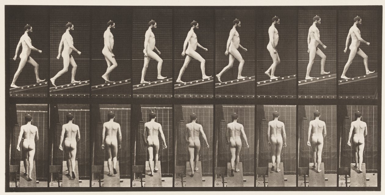 Plåt 75. Stigande lutning, vinkel 1 på 4, 1872-1885 av Eadweard Muybridge