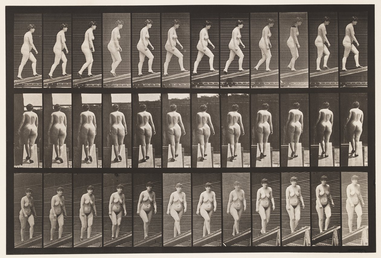 Plåt 86. Stigande lutning av Eadweard Muybridge