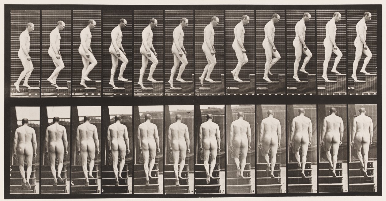 Plåt 89. Uppstigningstrappa av Eadweard Muybridge