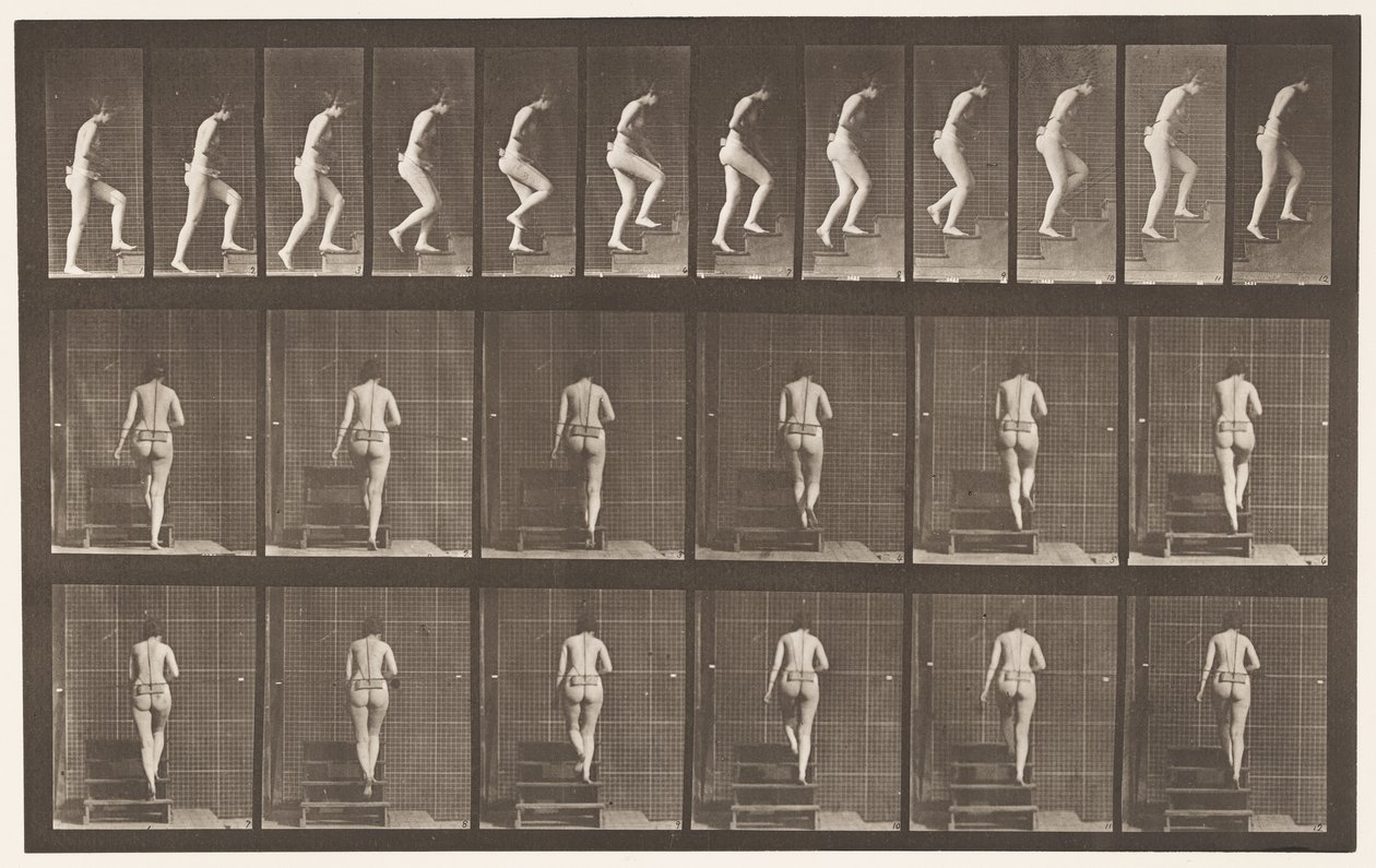 Tavla 93. Uppstigningstrappa av Eadweard Muybridge