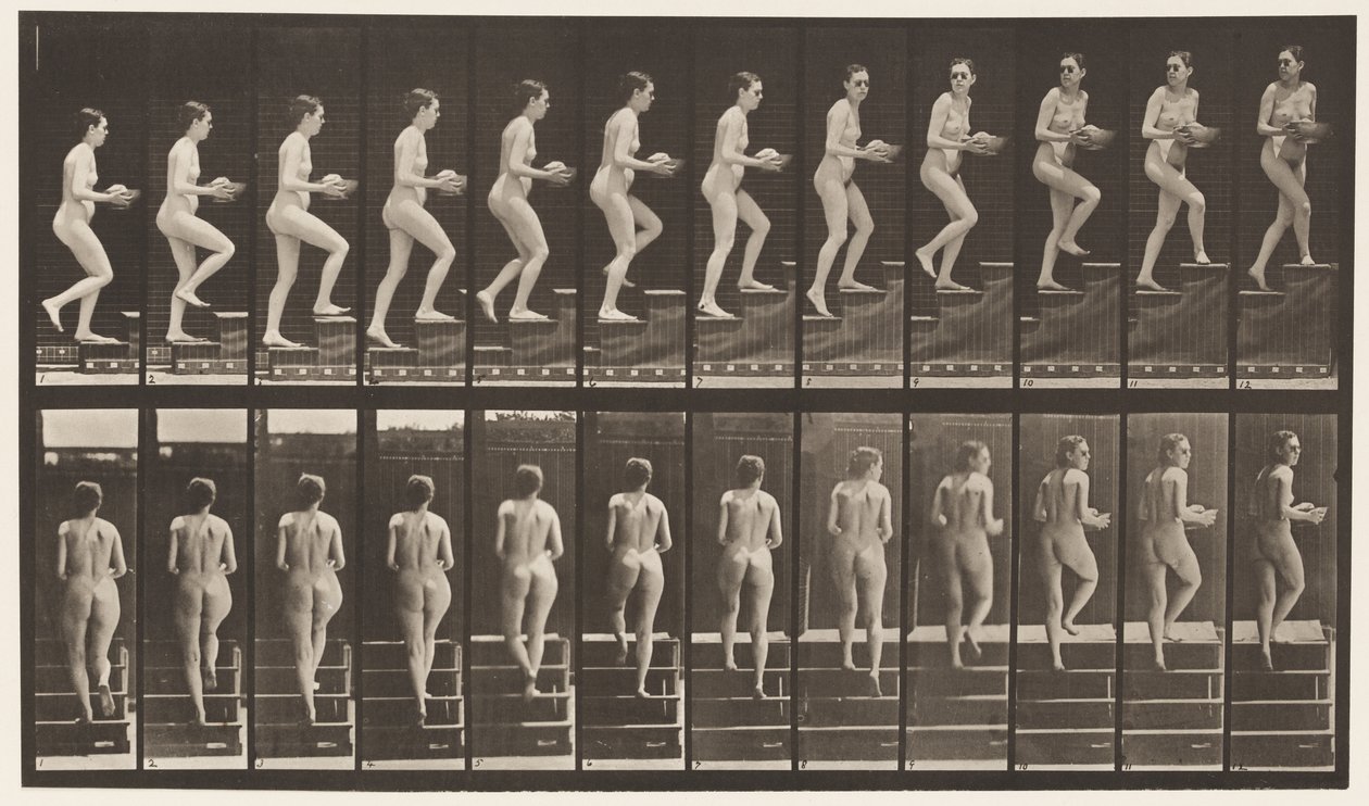 Tavla 94. Uppåtgående trappa ser sig omkring; Handfat i händerna av Eadweard Muybridge