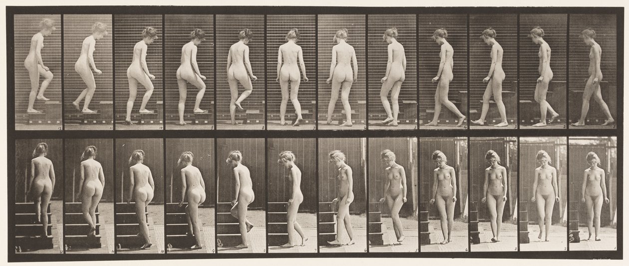 Tavla 98. Vändande och uppgående trappor, 1872-1885 av Eadweard Muybridge