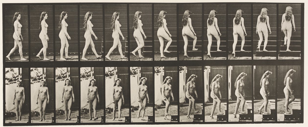 Tavla 99. Sväng- och uppstigningstrappor av Eadweard Muybridge