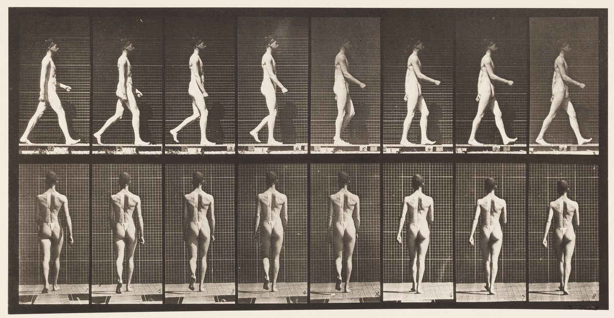 Plåt 9. Vandring, 1872-1885 av Eadweard Muybridge