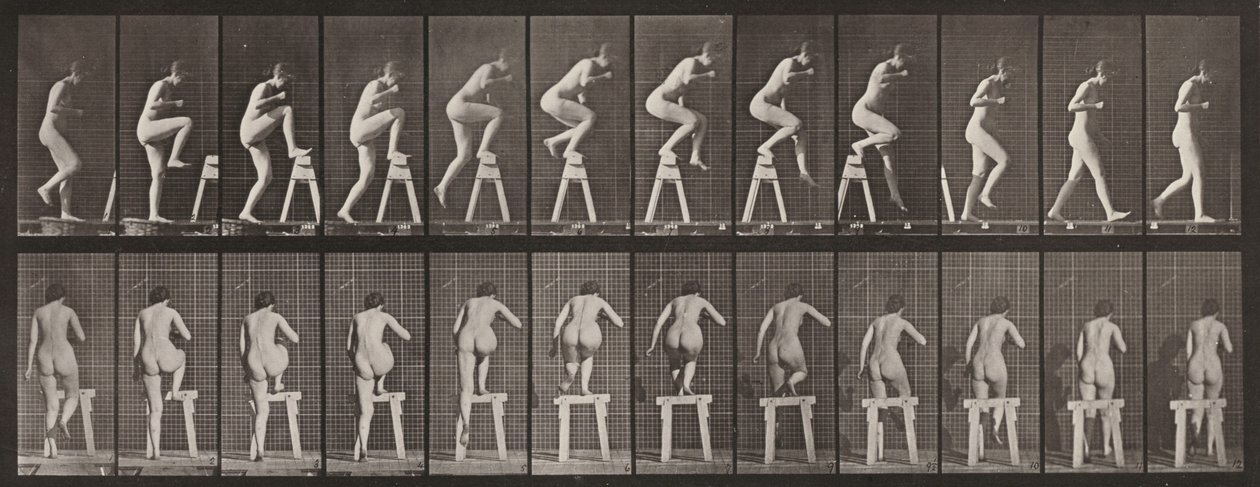 Plansch nummer 178. Att kliva upp på och över en bock av Eadweard Muybridge