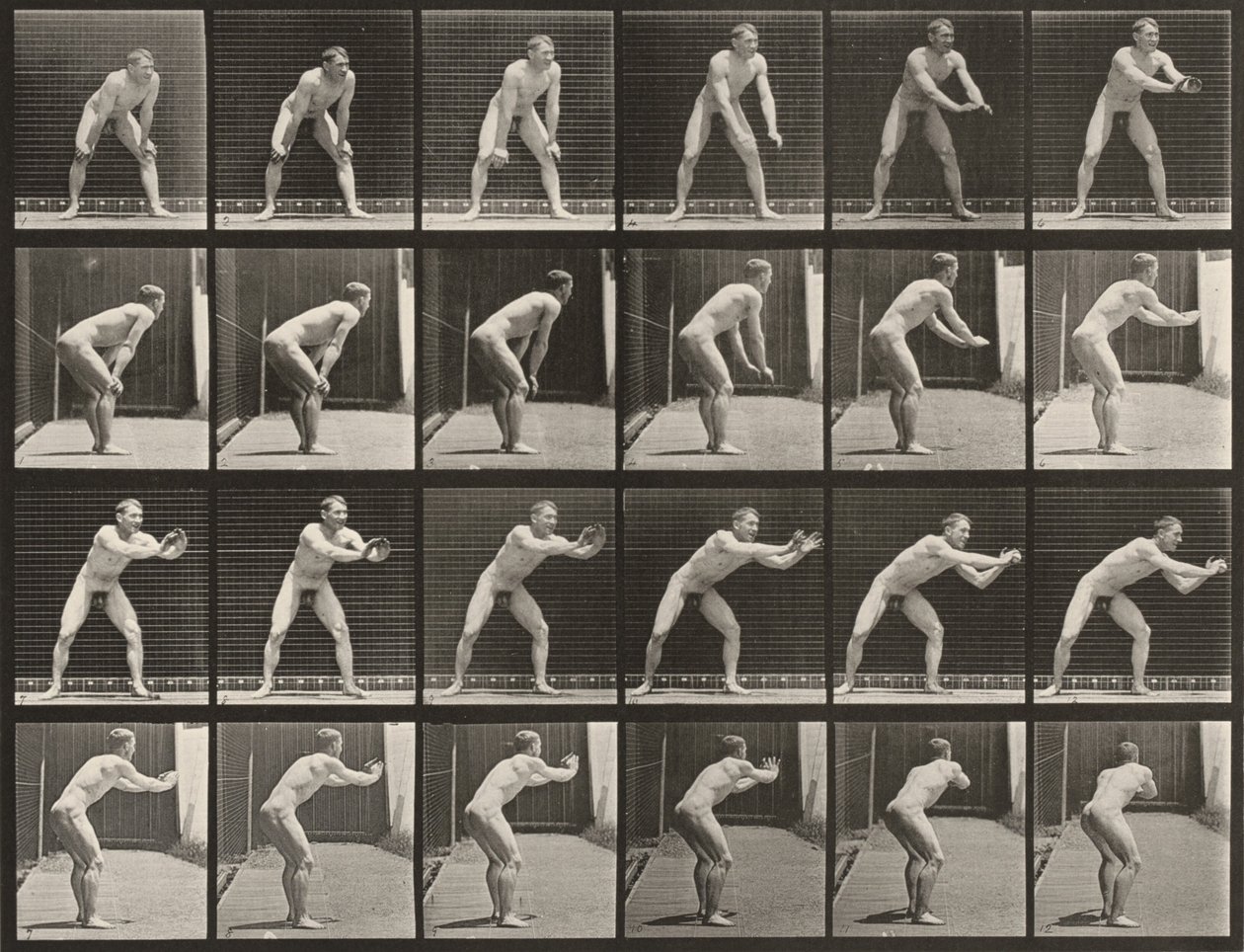 Plansch nummer 280. Baseboll, fånga bollen av Eadweard Muybridge