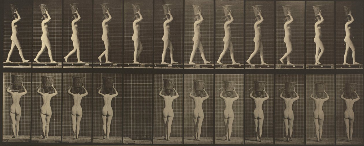 Plansch nummer 34. Gående och bärande en korg på 15 lb på huvudet, händerna höjda av Eadweard Muybridge