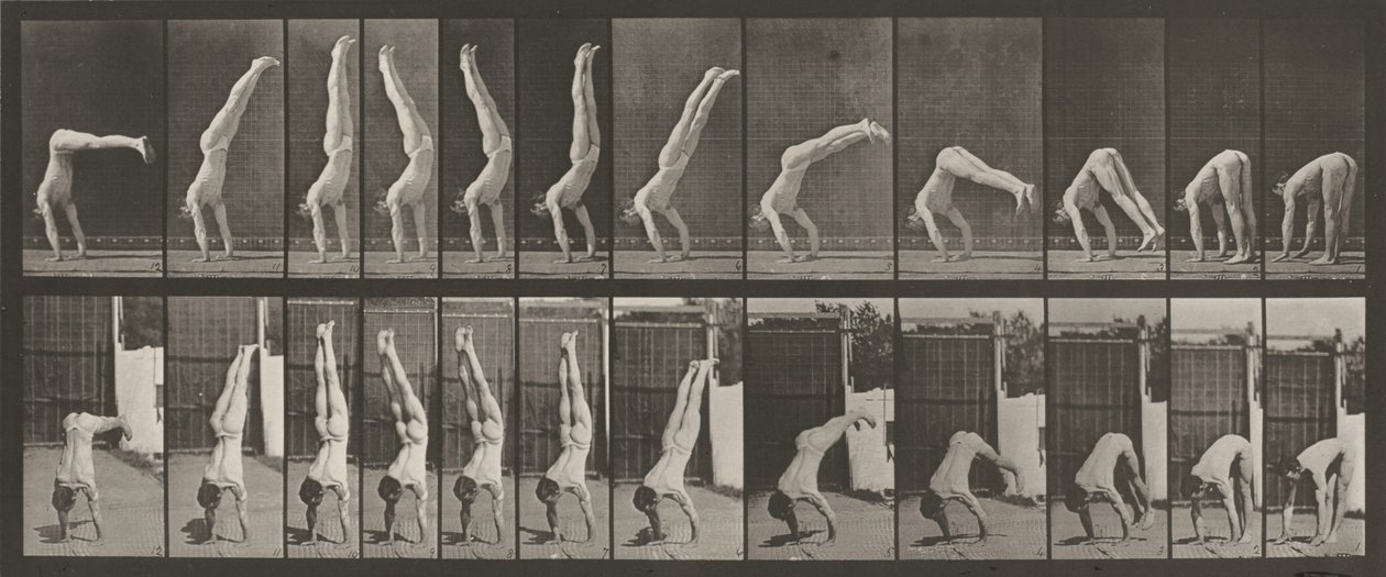 Nummerplåt 371. Acrobat, vertikal "tryck upp",1887 (foto) av Eadweard Muybridge