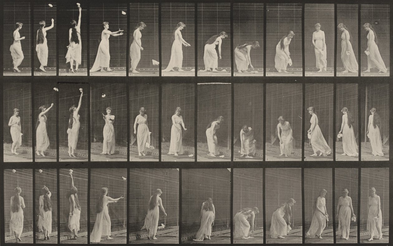 Plansch nummer 463. Sträcka sig upp, böja sig och vända sig om av Eadweard Muybridge
