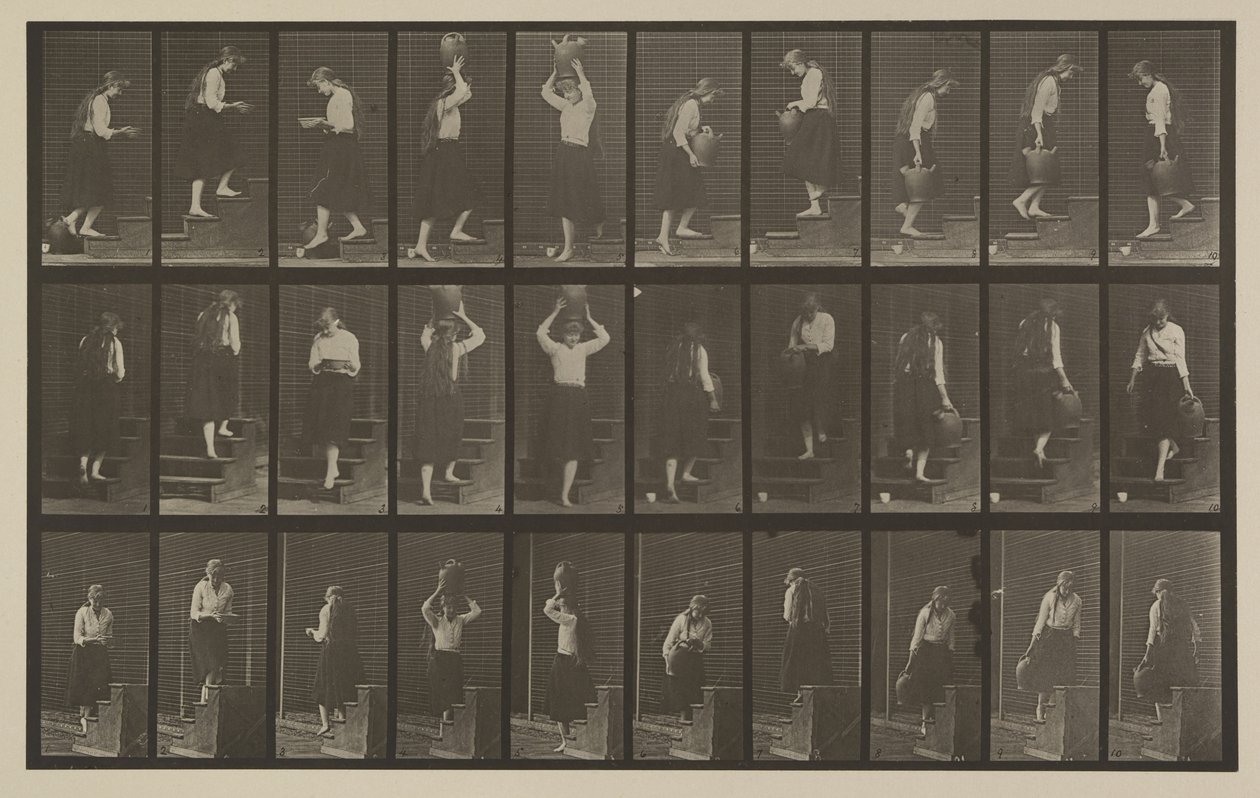 Skylt nummer 504. Upp- och nedåtgående trappor av Eadweard Muybridge