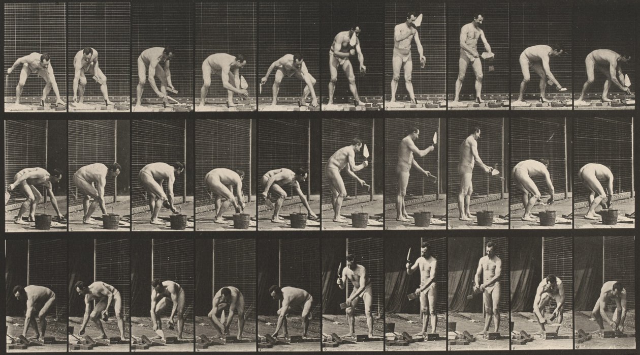Nummerplåt 506. Murning,1887 (foto) av Eadweard Muybridge