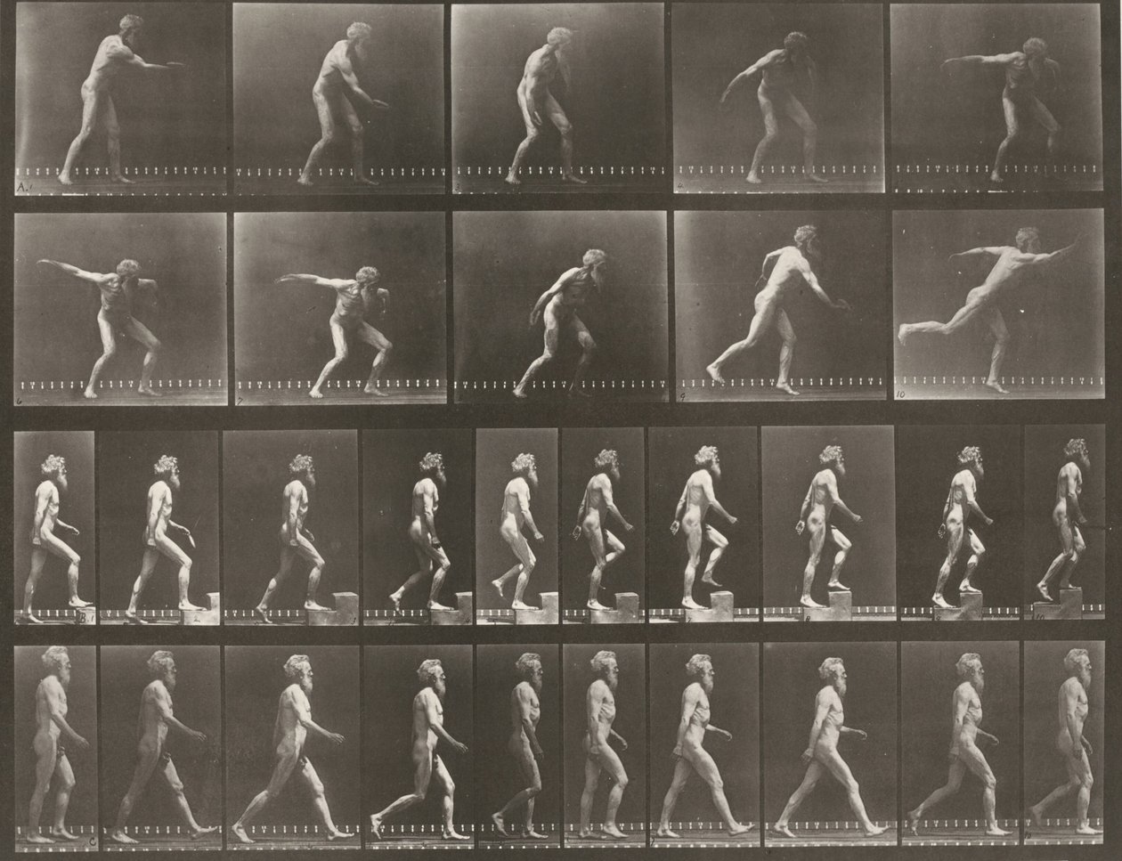 Platta nummer 519. A: Kasta diskus. B: Gå uppför ett steg. C: Gå av Eadweard Muybridge