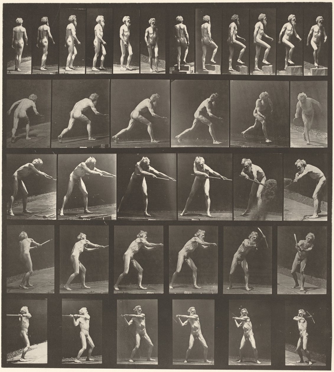 Nummerplåt 521. A: Gående. B: Stigande steg. C: Kastar diskett. D: Använder spade. E, F. Använder hacka,1887 (foto) av Eadweard Muybridge