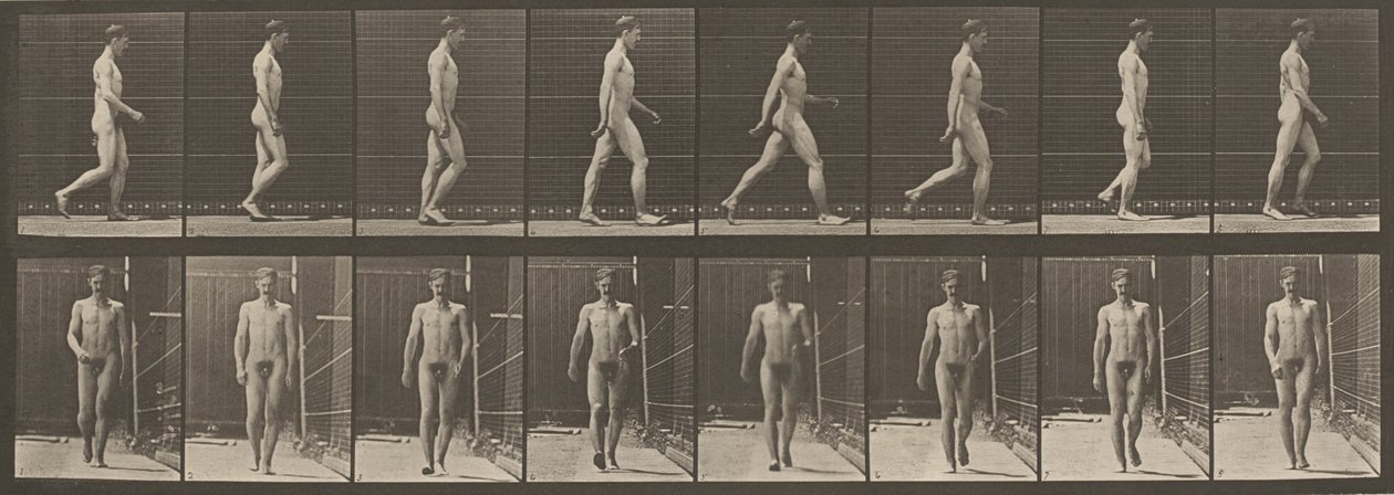 Plåt nummer 5. Gående,1887 (foto) av Eadweard Muybridge