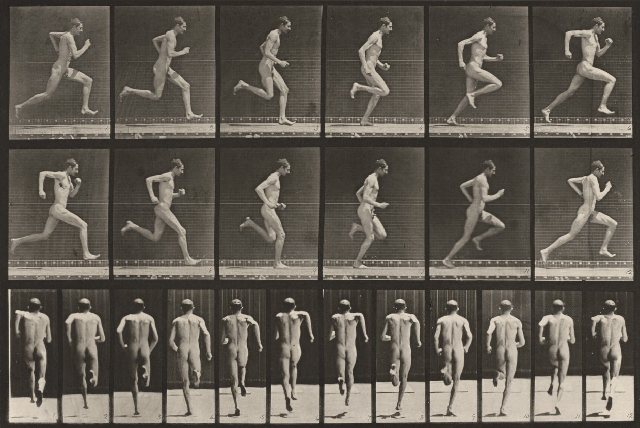 Plansch nummer 62. Löpning i full fart av Eadweard Muybridge