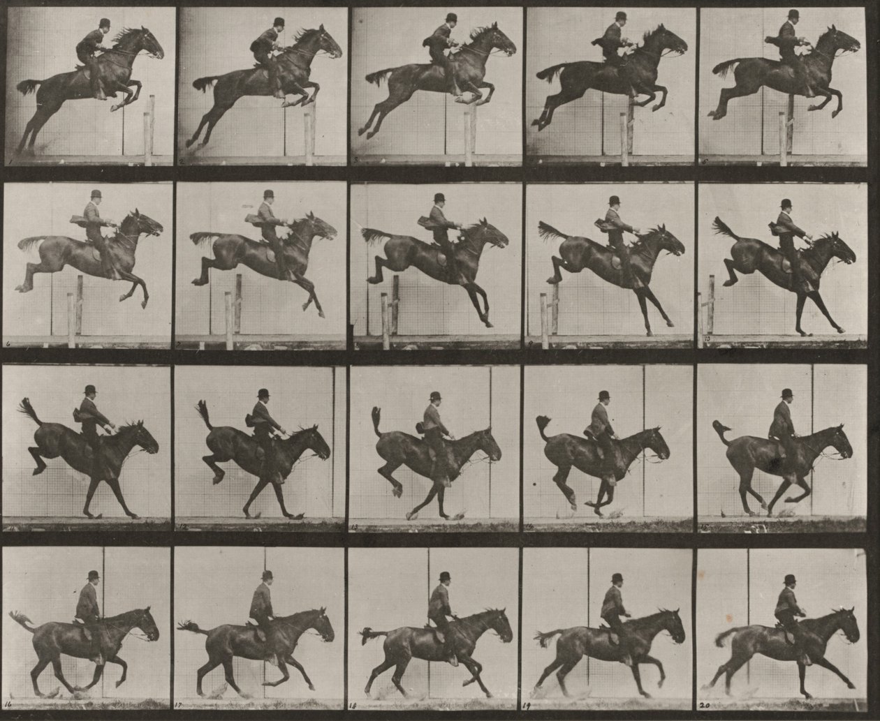 Plansch nummer 637. "Daisy" hoppar över ett hinder, sadlad, vid språnget, landningen och återhämtningen av Eadweard Muybridge