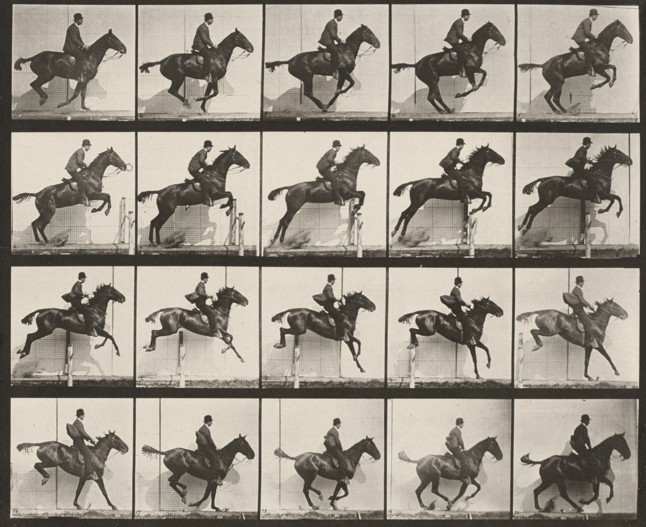 Plansch nummer 640. "Daisy" hoppar över ett hinder, sadlad av Eadweard Muybridge