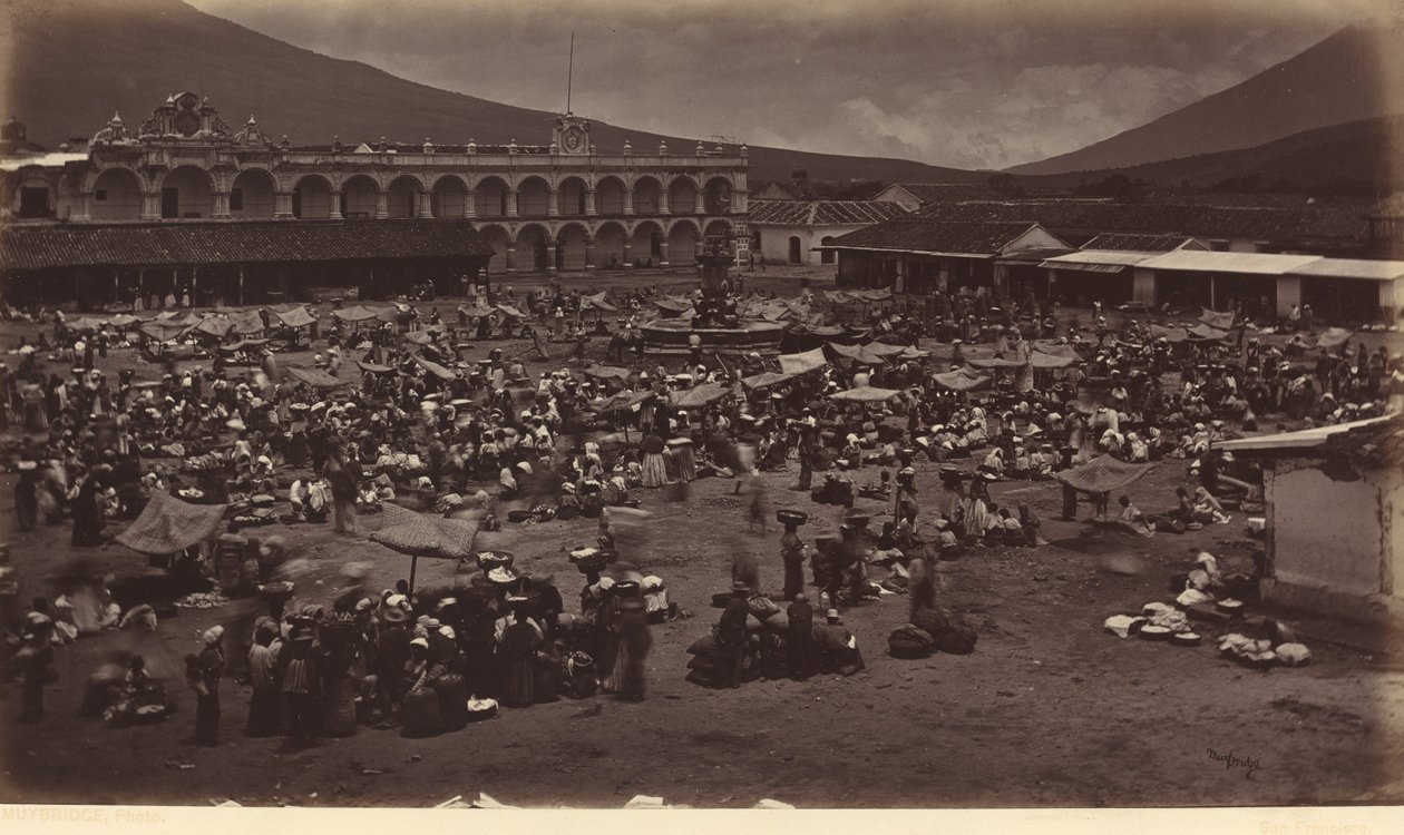 Plaza och Viceroy