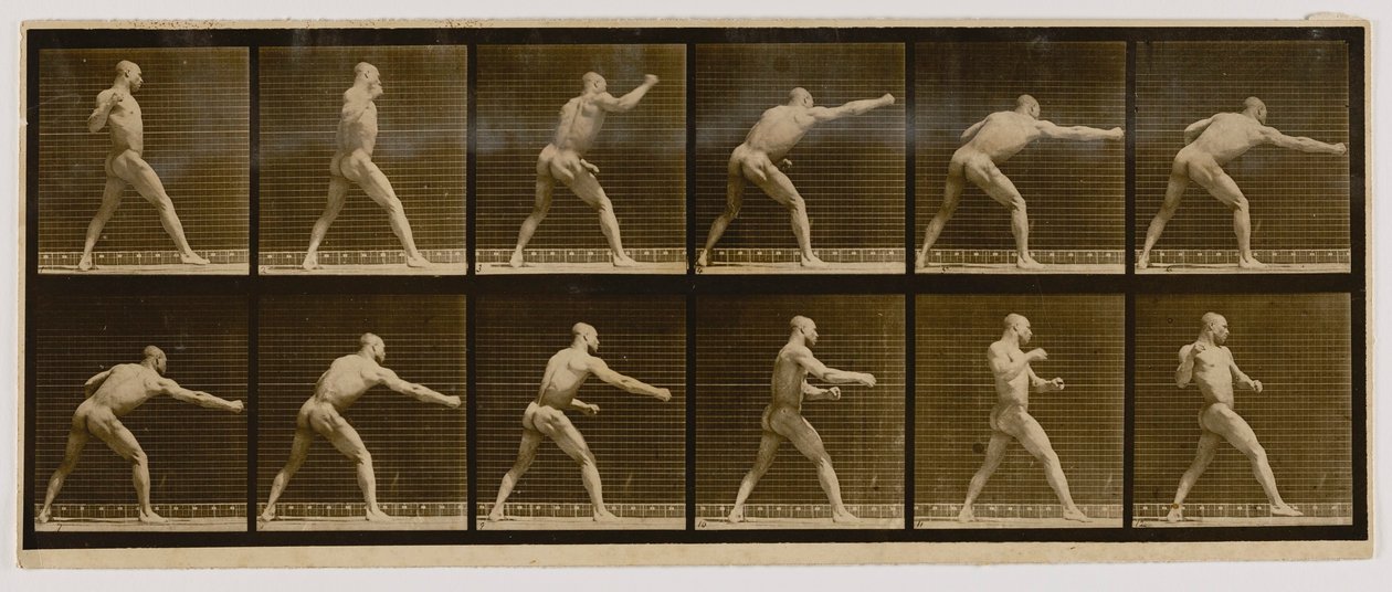Pugilist som slår ett slag, från boken Animal Locomotion av Eadweard Muybridge