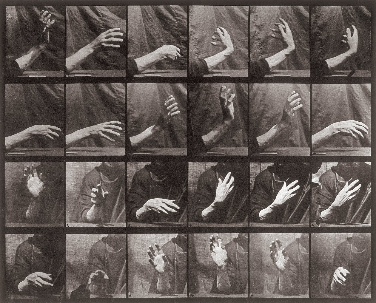Sekvens med handrörelse, tallrik 535 från Animal Locomotion (collotype) av Eadweard Muybridge
