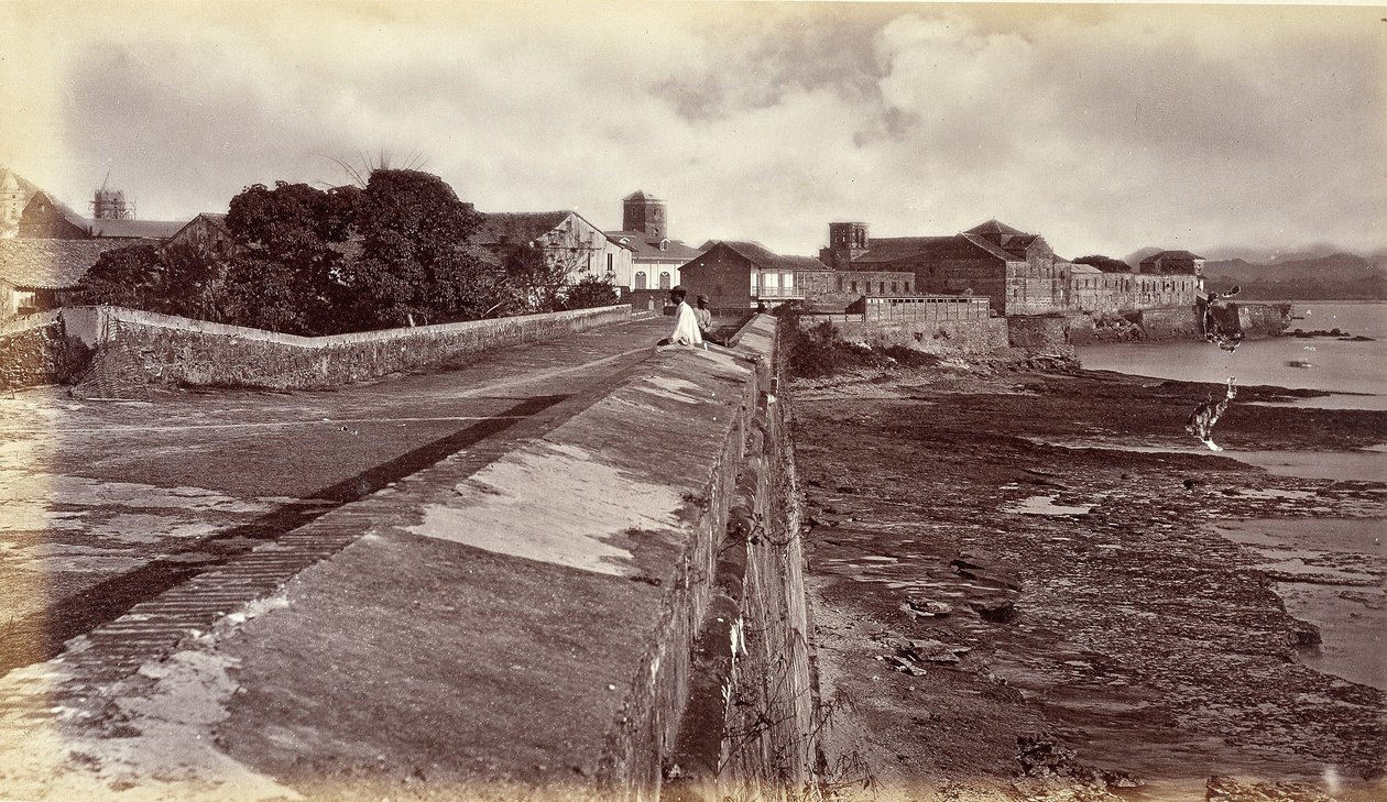 The Walls, Panama av Eadweard Muybridge