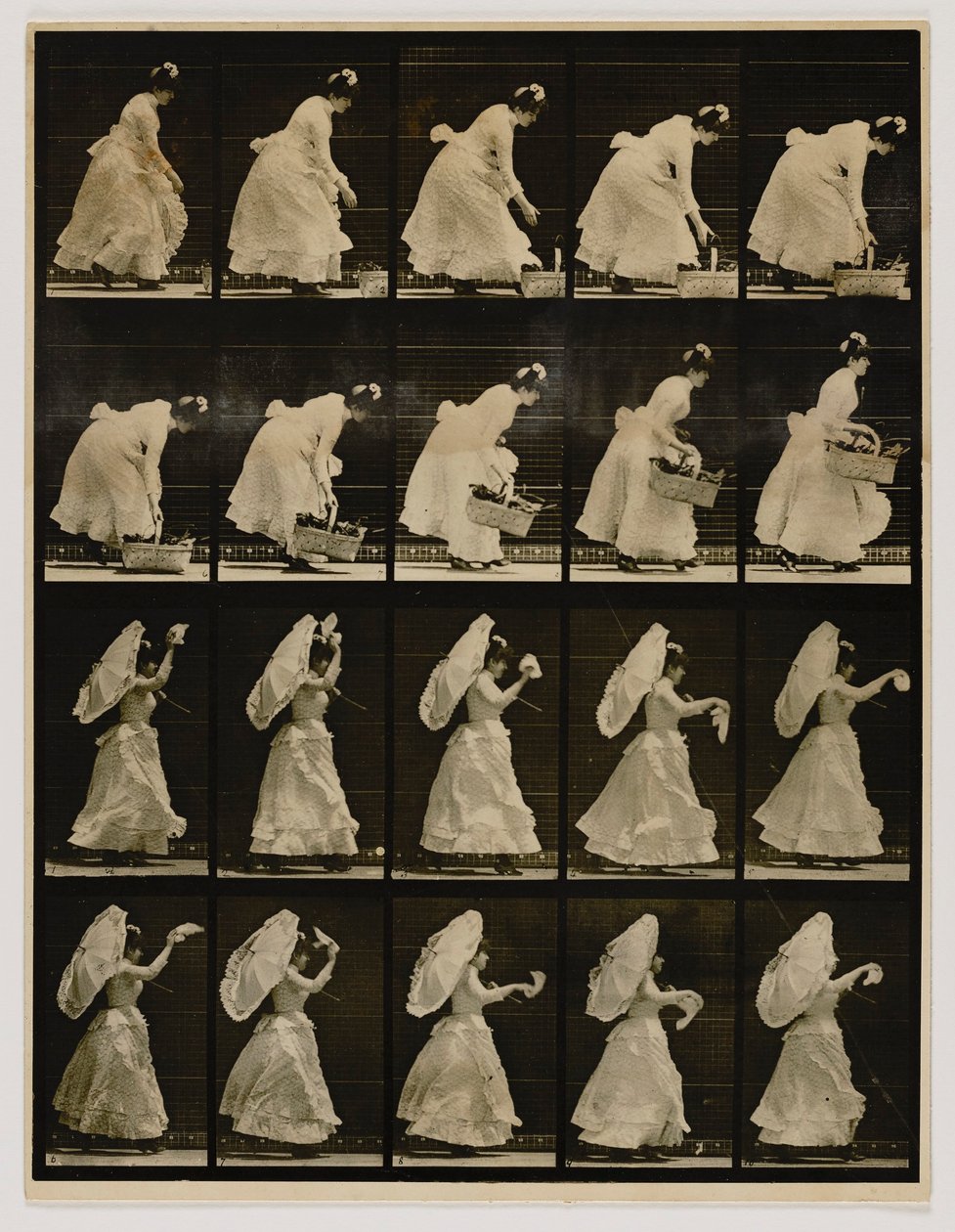Kvinna lyfter en korg och viftar med en näsduk, från boken Animal Locomotion av Eadweard Muybridge