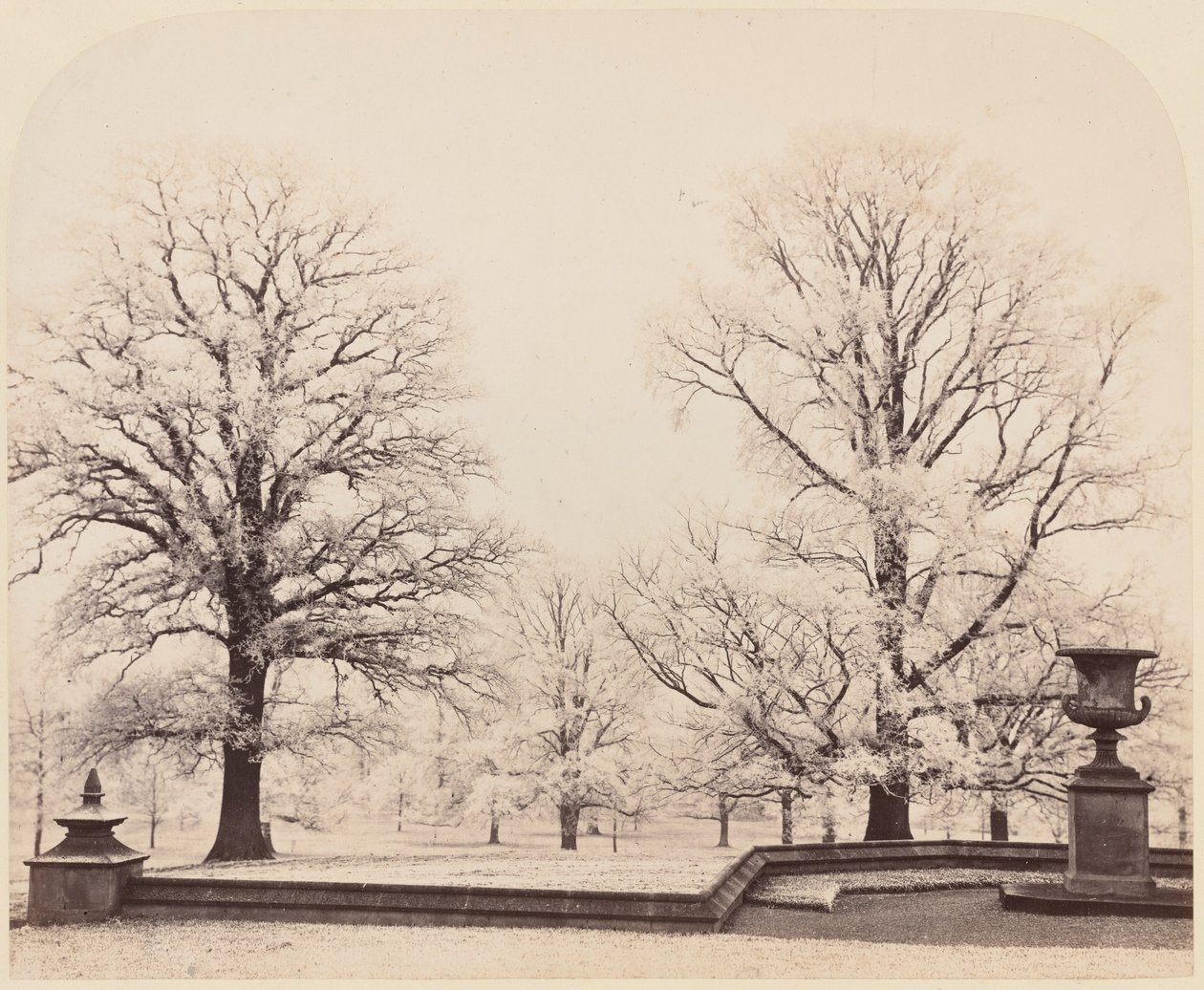 Rimfrost, en parkscen av Earl of Caithness