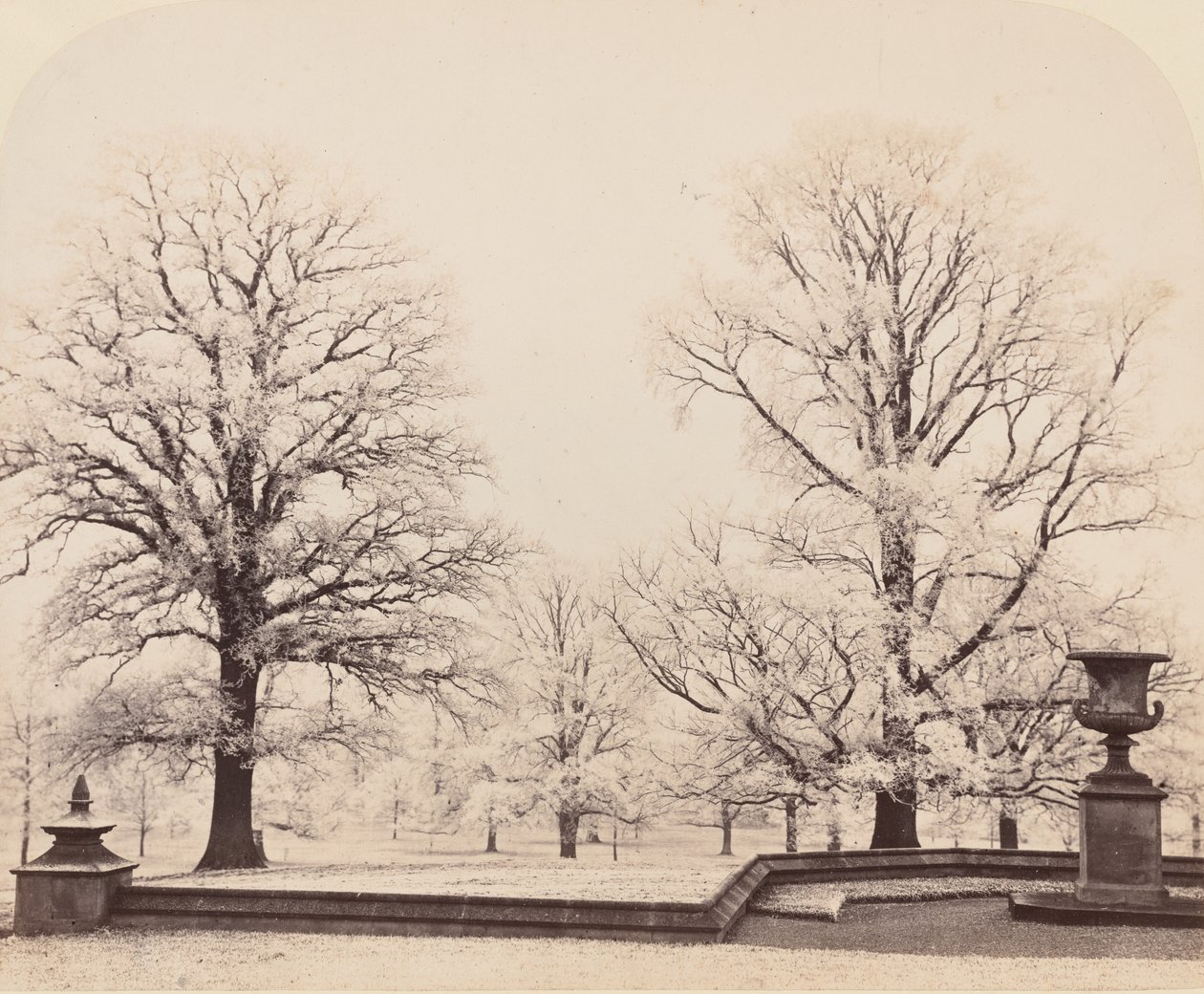 Rimfrost, en parkscen, 1862. av Earl of Caithness James Sinclair