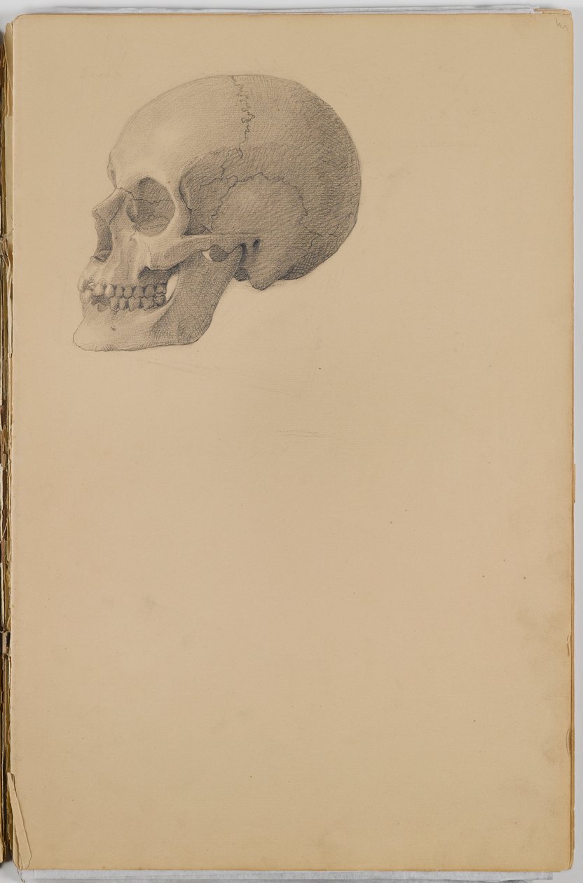 Anatomy Sketch Book, 1849 (skissbok som innehåller teckningar i grafit) av Eastman Johnson