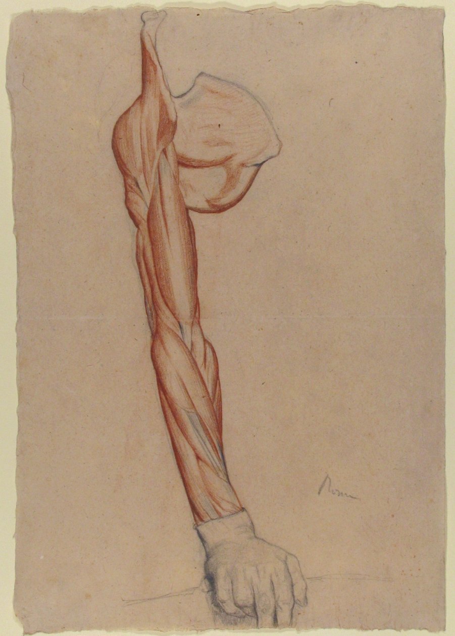 Écorché: höger arm och skulderblad med intakt höger hand av Edgar Degas