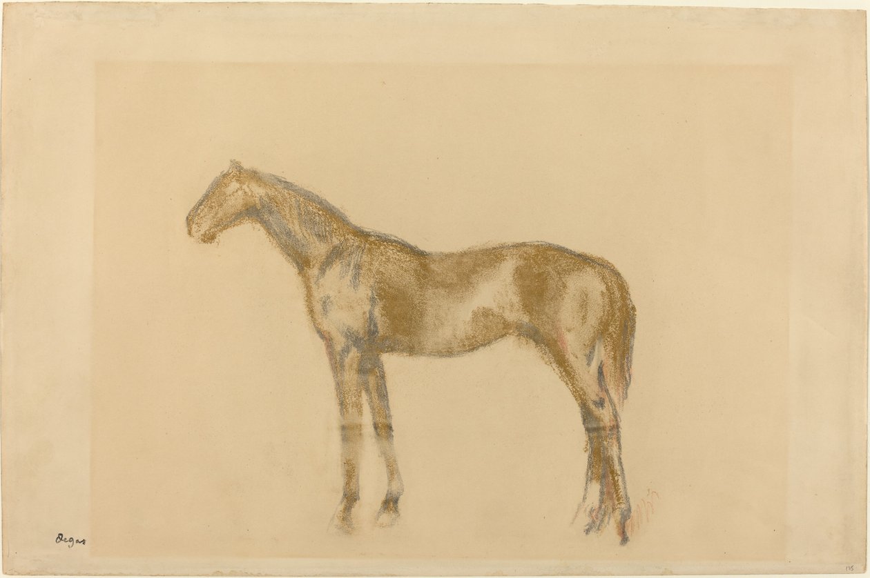 Häst av Edgar Degas