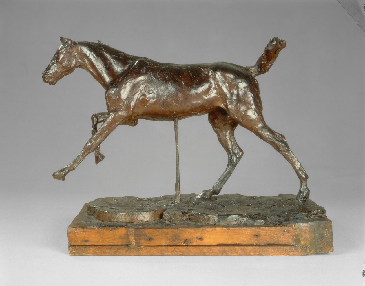Häst galopperar på höger fot, sent 1880-tal. av Edgar Degas