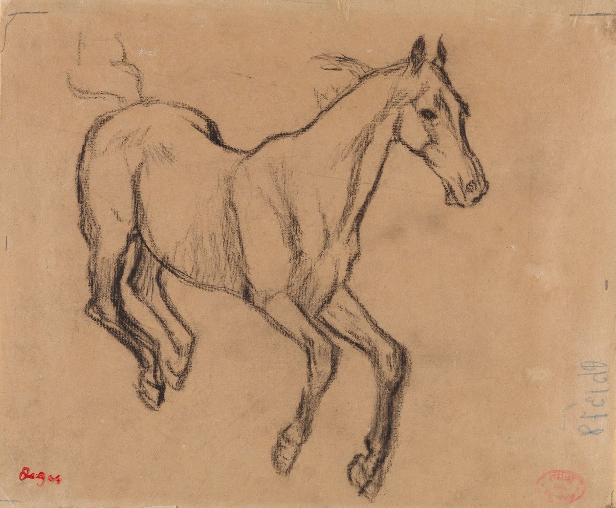 Häst i full fart av Edgar Degas
