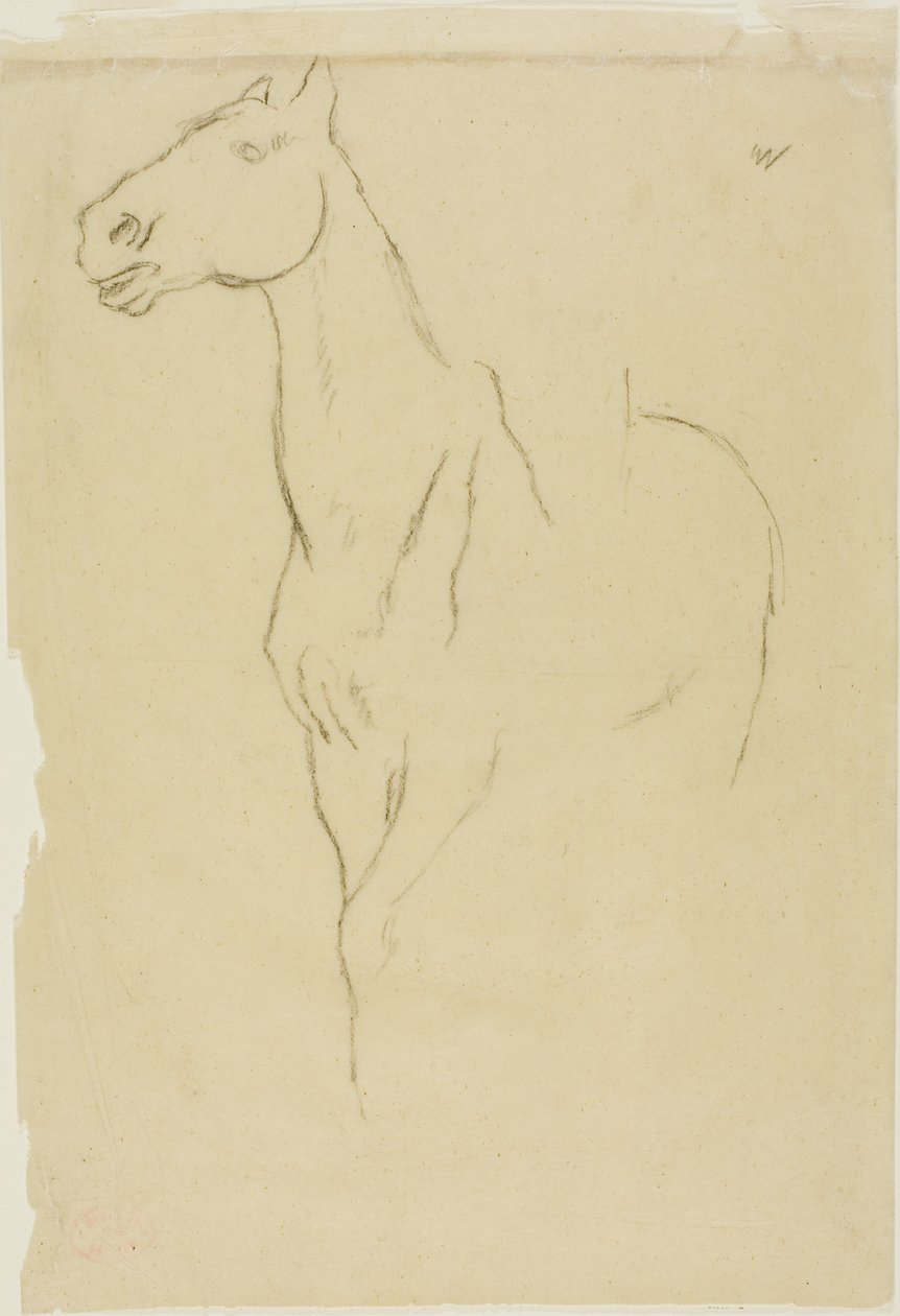 Häst vänd till tre fjärdedelar av Edgar Degas