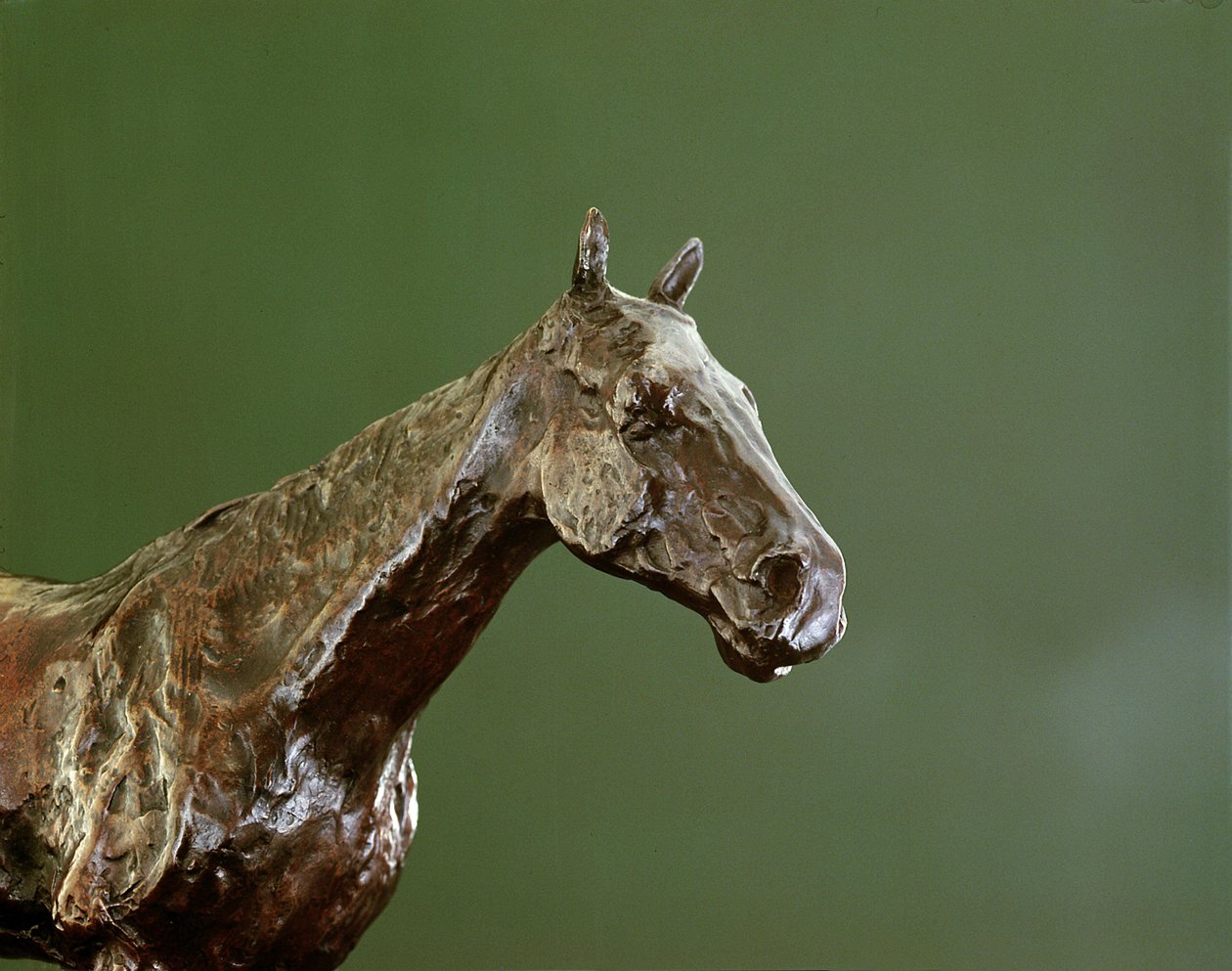 Hästhuvud (brons) (detalj av 335585) av Edgar Degas