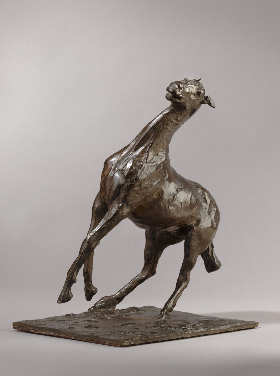 Uppfödningshäst, modellerad c.1870-tal, gjuten 1919-21 av Edgar Degas
