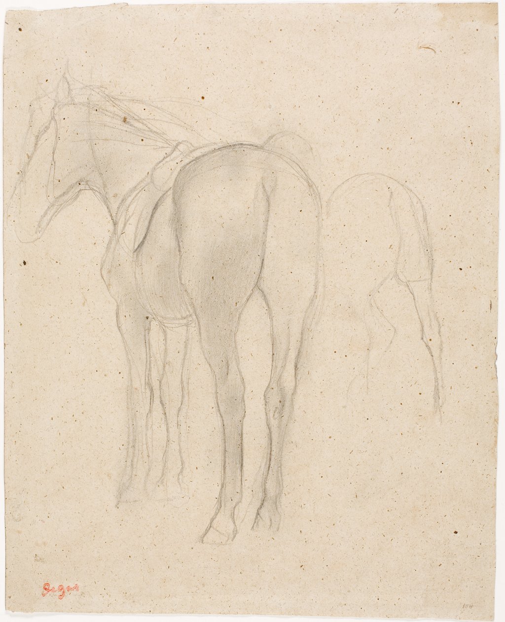 Studier av en häst av Edgar Degas