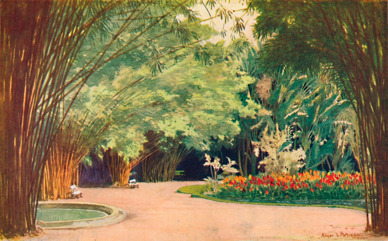 A Bamboo Grove - Botaniska trädgårdar, 1914 av Edgar L. Pattison