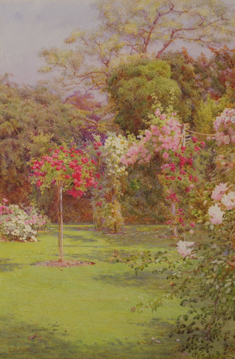 En rosenträdgård (akvarell på papper) av Edith Helena Adie
