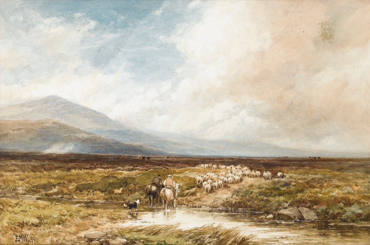 Tavy Cleave, Dartmoor, 1899 (wc på papper) av Edmund Morison Wimperis