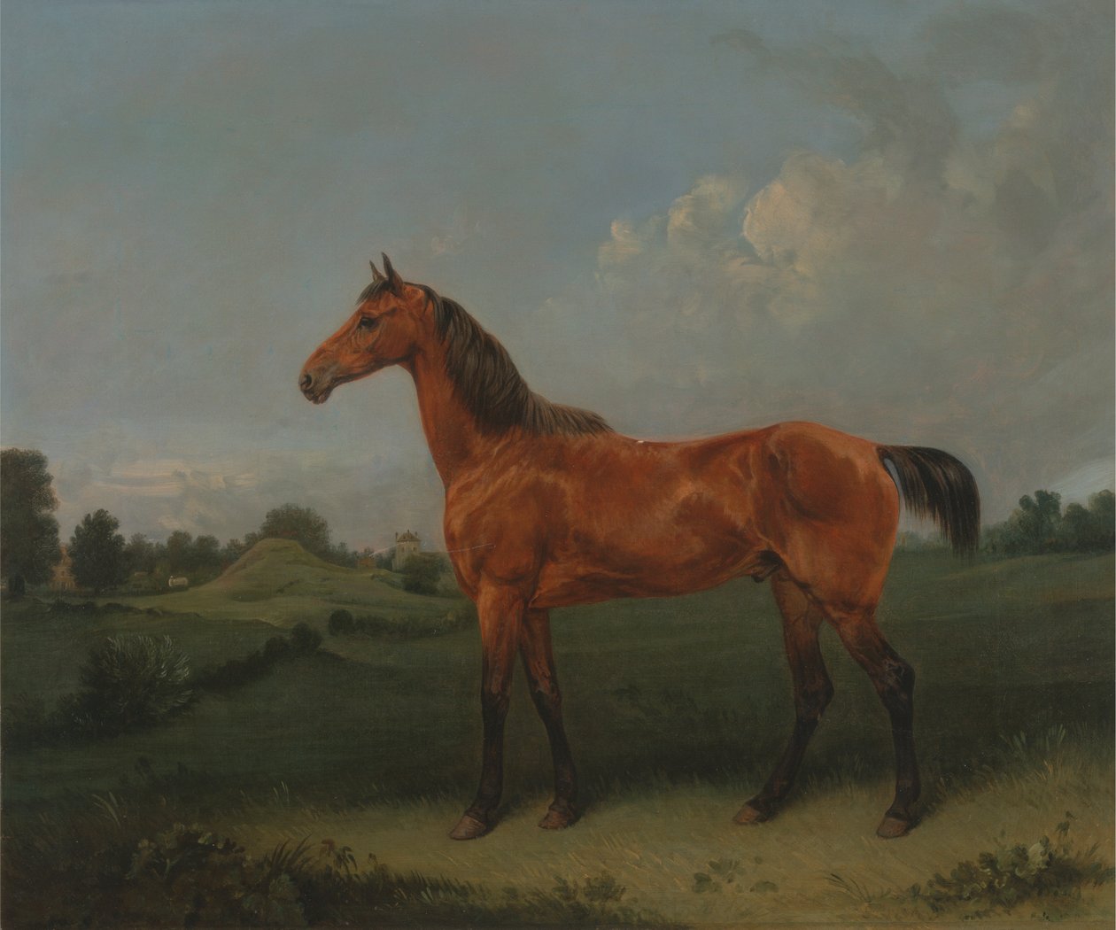 swedish av Edmund Bristow