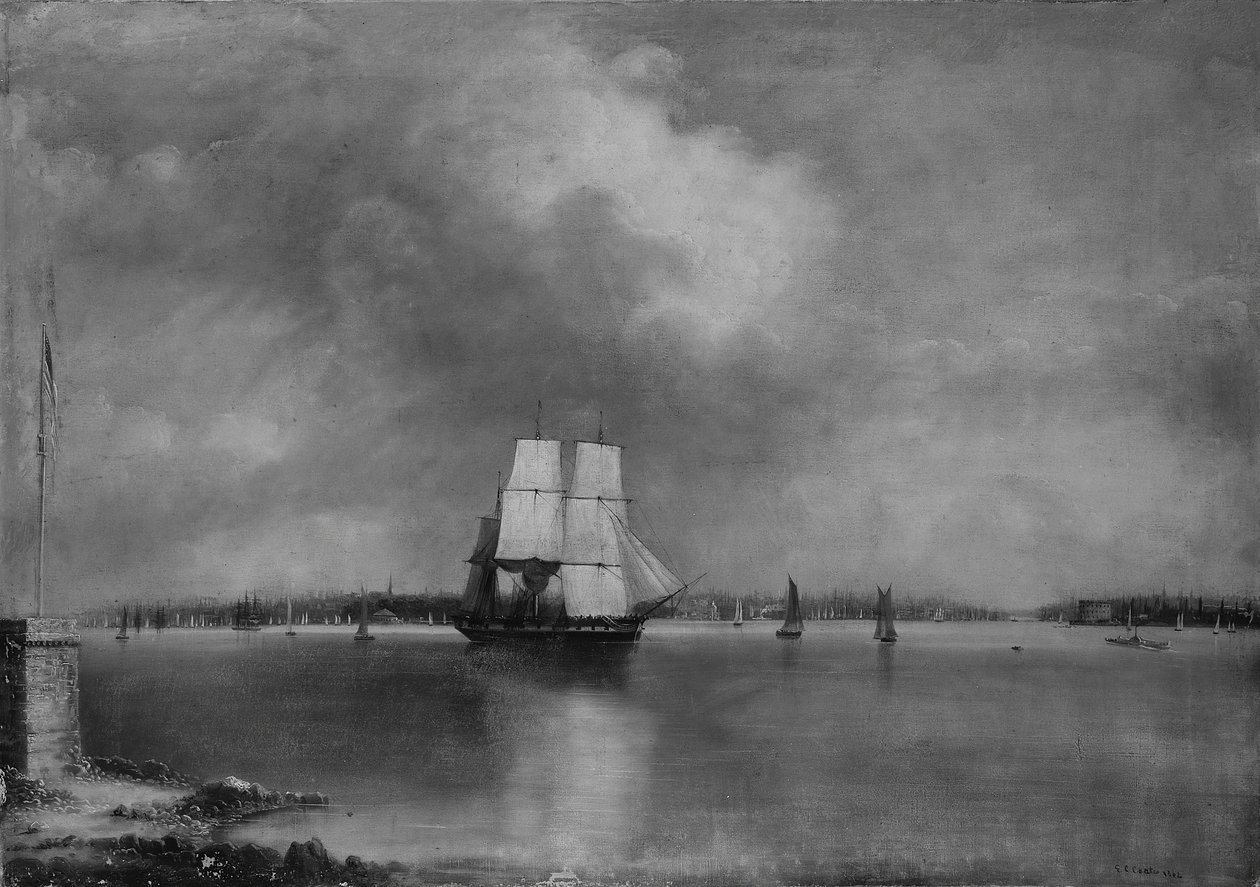 Bay and Harbour of New York från Bedlow