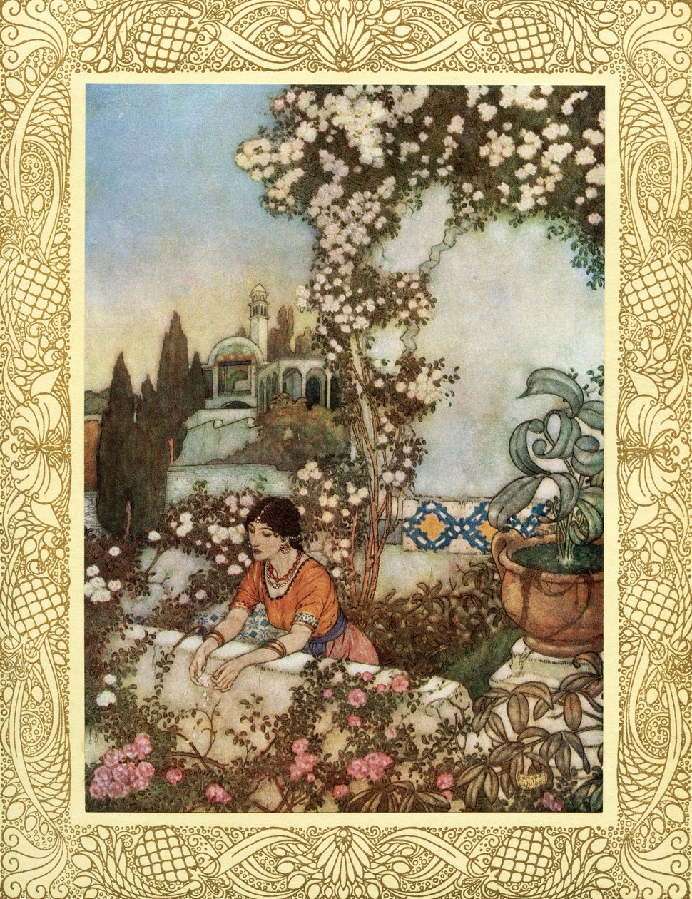 Se på den blåsande rosen omkring oss - "Se, skrattande", säger hon, "ut i världen blåser jag: På en gång min handväskas silkestofs och dess skatt på trädgårdens kast, illustration från "The Rubaiyat of Omar Khayyam", publicerad 1909 (färglitografi) av Edmund Dulac