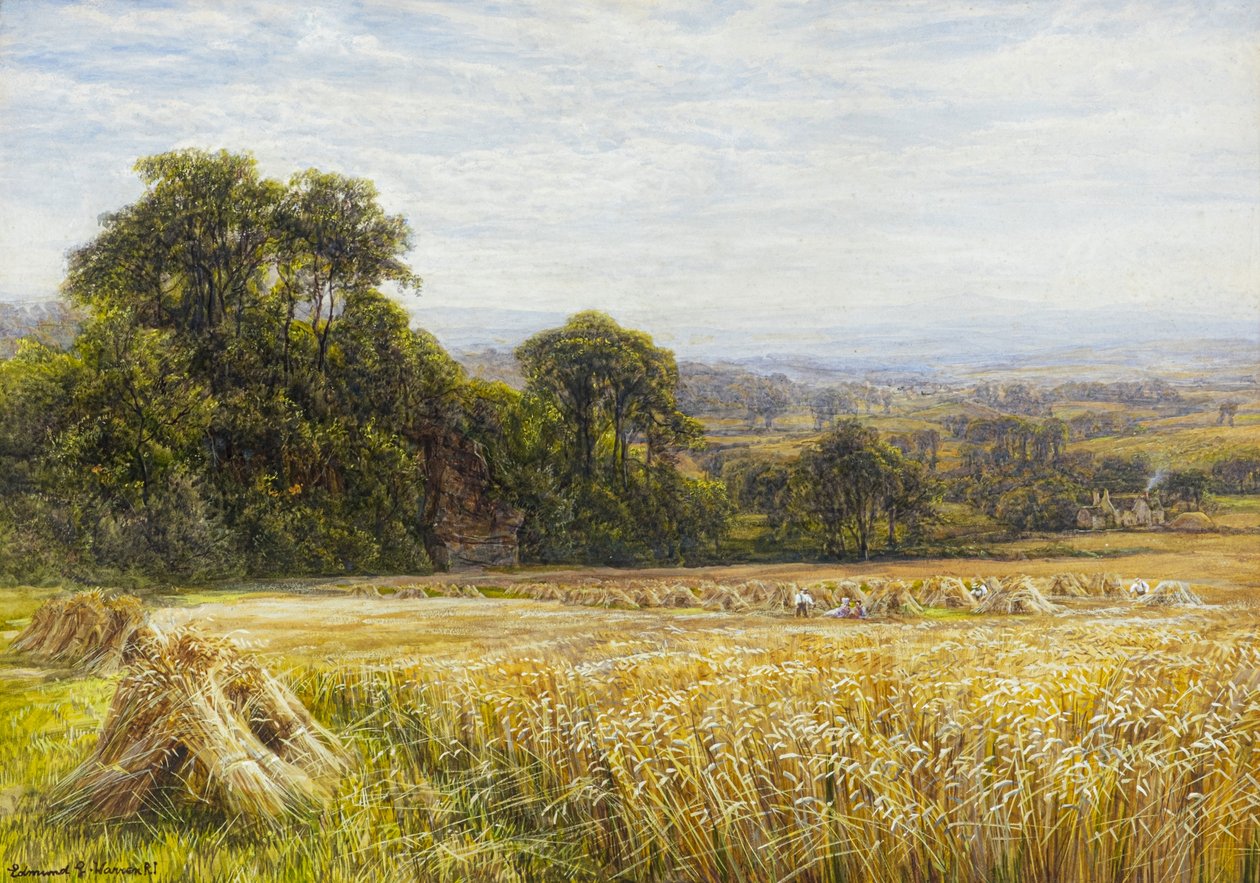 Skördetid (akvarell) av Edmund George Warren
