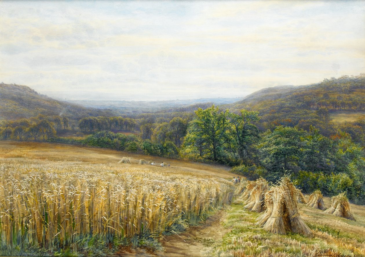 Skördetid nära Ashburton, 1884 (wc & gouache på papper) av Edmund George Warren