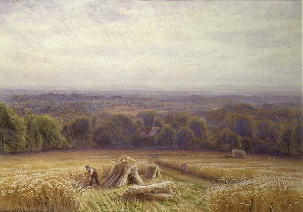 Skörd av Edmund George Warren