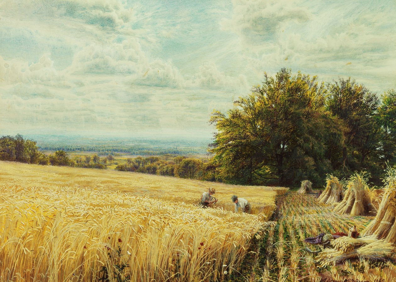 Skördarna, 1865 av Edmund George Warren