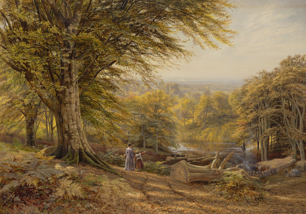 swed av Edmund George Warren