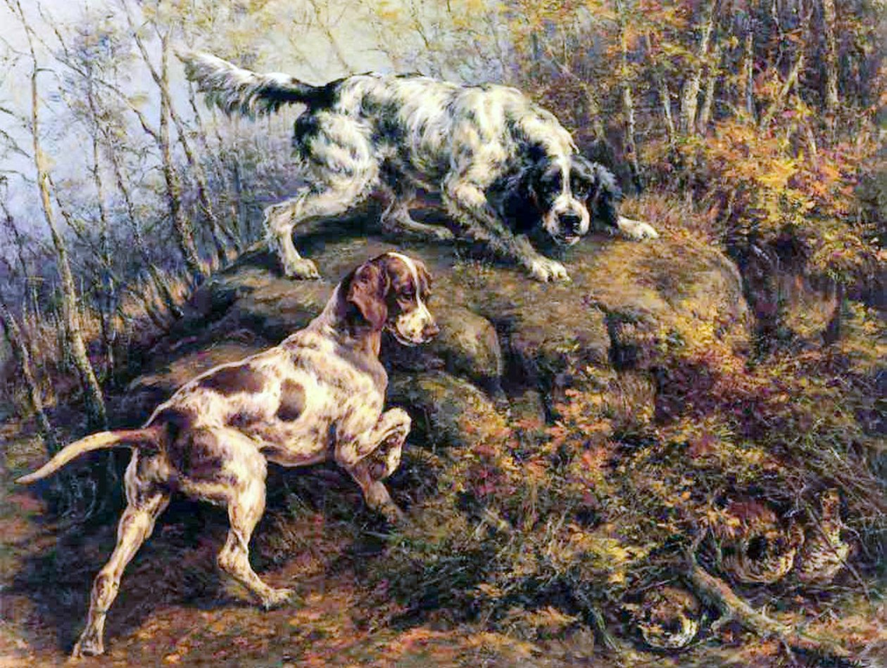 Pointer, Setter och Grouse av Edmund Henry Osthaus