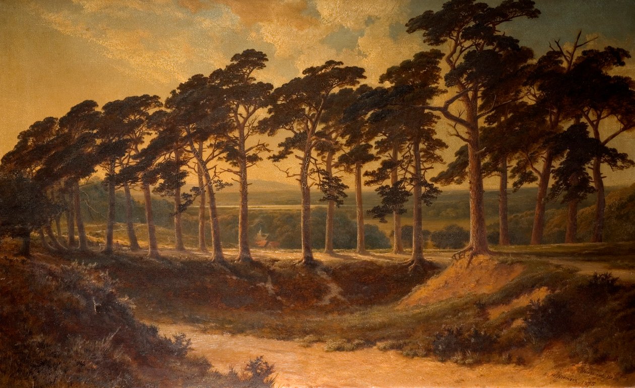 Harrow from the First, Hampstead Heath, 1875 av Edmund John Niemann